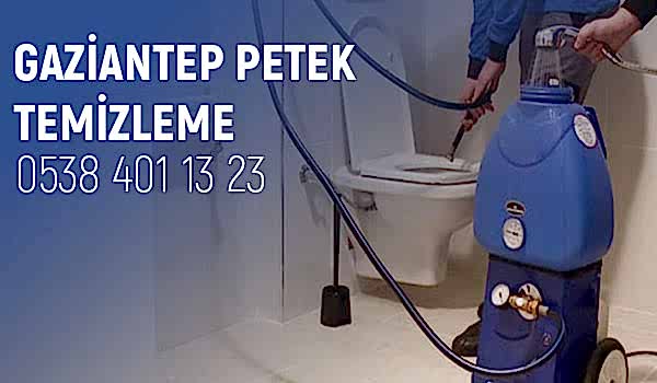 Gaziantep Petek Temizleme Firması