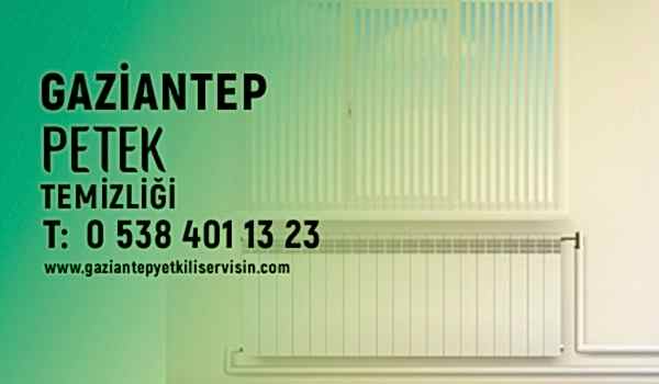 Gaziantep Petek Temizleme